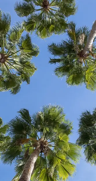 Hero 4